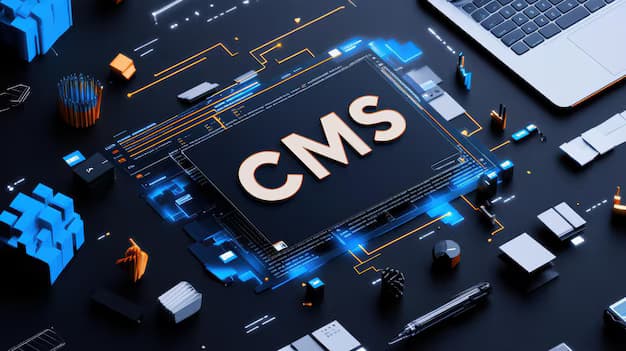 Custom CMS development